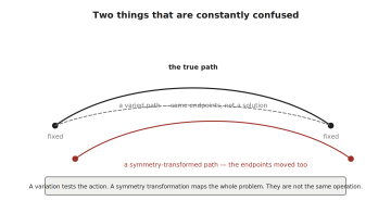Three curves between endpoints. A solid curve is the true path; a dashed curve with the same fixed endpoints is a variation; a third curve offset from both, with its own moved endpoints, is a symmetry-transformed path. A note distinguishes testing the action from mapping the whole problem.