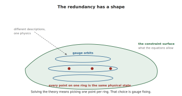 A shaded surface labelled the constraint surface, with three horizontal rings drawn on it labelled gauge orbits. Three marked points on one ring are annotated as the same physical state described differently. A caption says solving the theory means choosing one point per ring, which is gauge fixing.